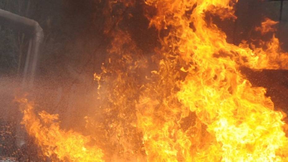 На турбазе «Лесовичок» в Воронеже выгорела баня