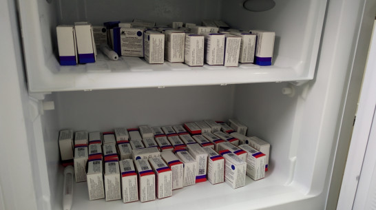 Число ревакцинированных жителей Воронежской области приблизилось к 170 тыс