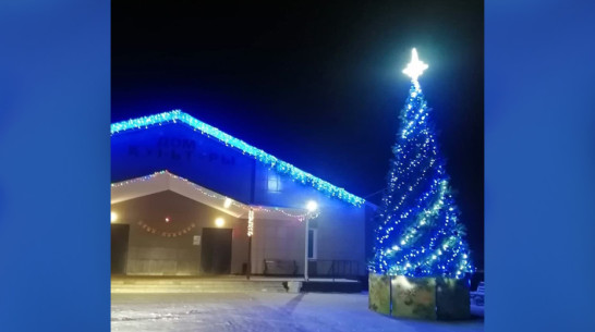 В хохольском селе Костенки впервые за много лет установили новогоднюю ель