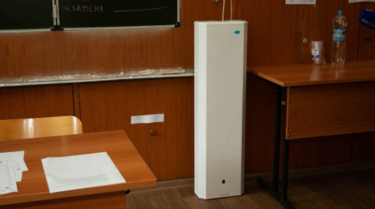 Коронавирус нашли у учеников 10 воронежских школ