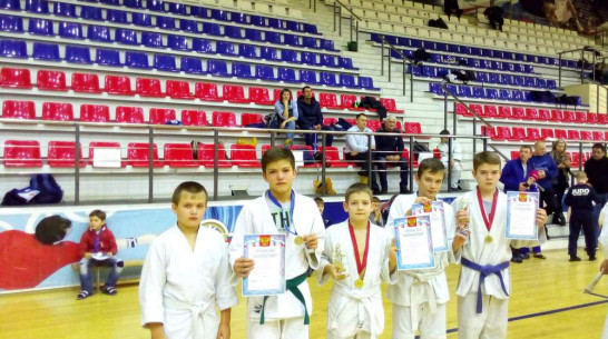Каширские дзюдоисты выиграли 4 медали на областном турнире