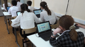 Воронежские школьники и их родители могут подключиться к полезным цифровым сервисам