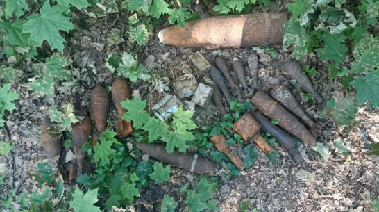 В Острогожском районе уничтожили 23 боеприпаса времен ВОВ