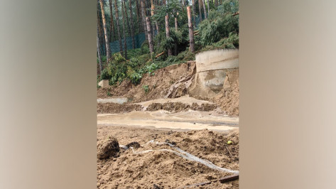 Под Воронежем в Ямном вновь сошел сель