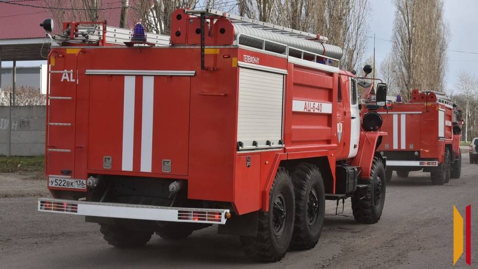 Пожарные спасли женщину с собакой из горящей квартиры в Воронеже