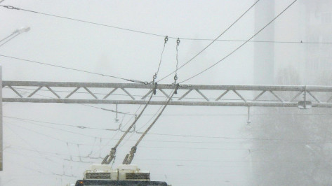 Троллейбусный маршрут №11 остановили в Воронеже из-за повреждения контактной сети