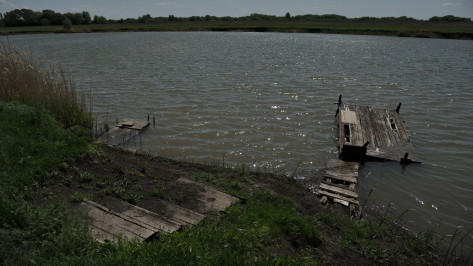 Губернатор взял на личный контроль проблему с доступом к озеру под Воронежем
