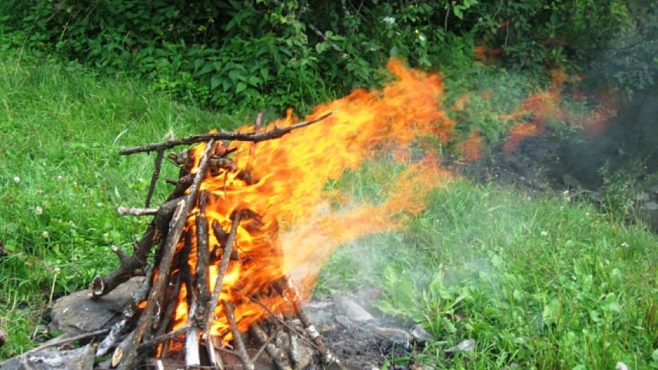 Семилетний мальчик и двухлетняя девочка получили сильные ожоги в Лискинском районе 