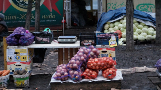 Воронежцы закупят овощи и фрукты от производителей 