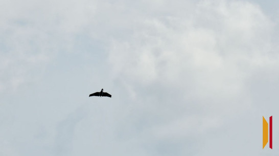 Обломки беспилотника рухнули на крышу соцобъекта в Воронежской области