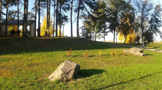 Специалисты Росреестра проконсультируют воронежские семьи в парке