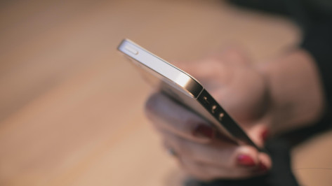 Воронежцы отдали мошенникам 1,2 млрд рублей в 2025 году