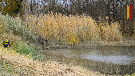 Вернуть Кацап. Рыбаки Подгоренского взялись за возрождение пруда