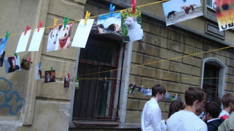 Воронежцев пригласили к обмену фотографиями на проекте «Сушка»