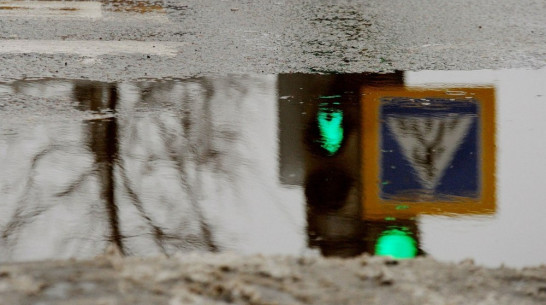 Приборы «Фотофиниш» появились на 10 пешеходных переходах Воронежа (СПИСОК)