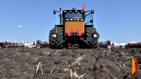 В Воронежской области отменили режим ЧС из-за гибели урожая