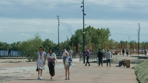 Губернатор Александр Гусев напомнил воронежцам о всероссийском онлайн-голосовании за объекты благоустройства