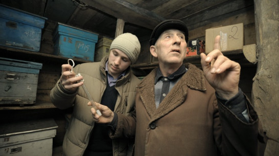 Медом не корми