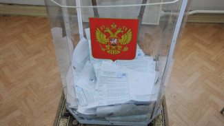 В Воронежской области явка на выборы президента составила 64,56%