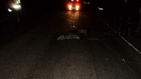 В Воронежской области под колесами Setra погиб 29-летний пешеход