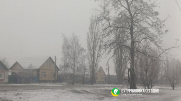 В Воронежскую область пришла зима