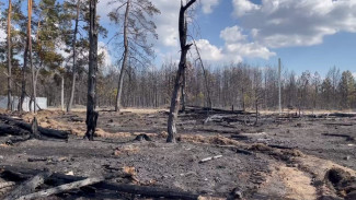 Стала известна причина пожара в Ямном под Воронежем