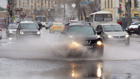 Первая рабочая неделя апреля в Воронеже начнется с пасмурной и дождливой погоды
