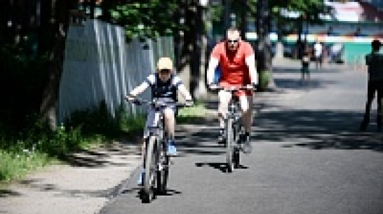 Обновленный воронежский спорткомплекс «Олимпик» сможет принимать всероссийские соревнования