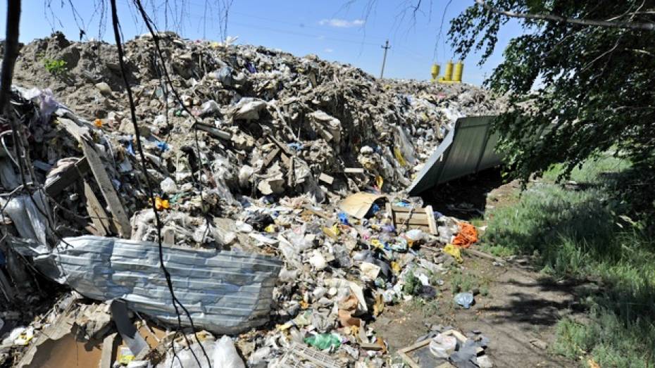 В Воронежской области сельских глав через суд обяжут вывозить мусор 