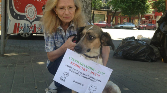 Воронежские зоозащитники взяли в автопробег дворняжку и хаски