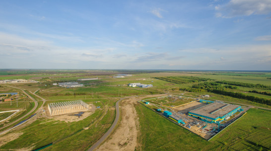 Первые резиденты появятся в ОЭЗ под Воронежем в 2019 году