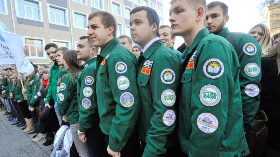Воронежские студенты благоустроят дворы в центре города к 17 февраля