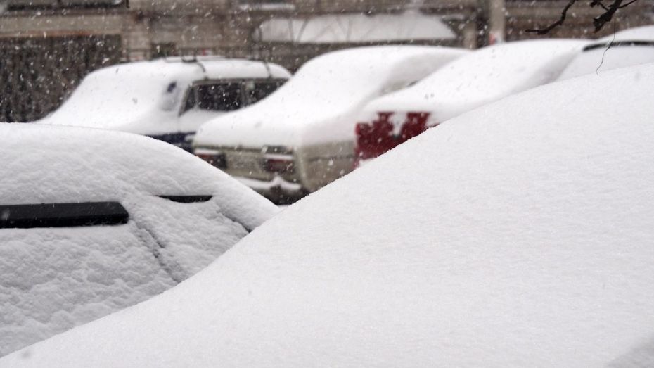Спасатели предупредили жителей Воронежской области о снегопаде 15 и 16 января