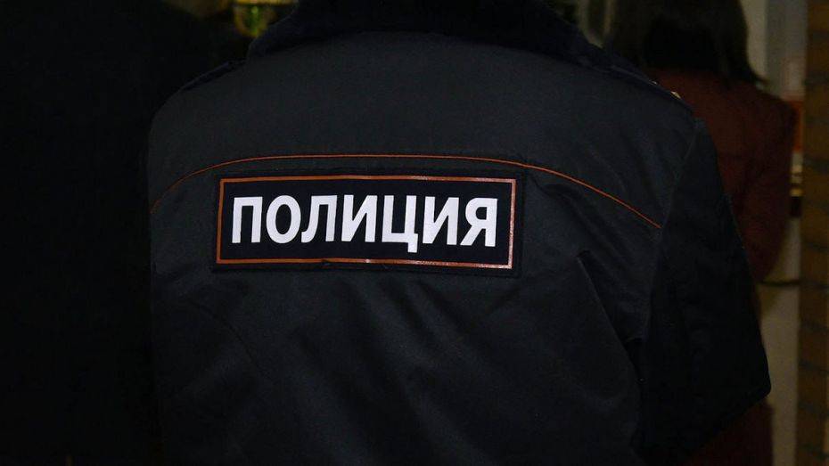В Нововоронеже 24-летняя женщина вырвала волосы инспектору ПДН и получила условный срок
