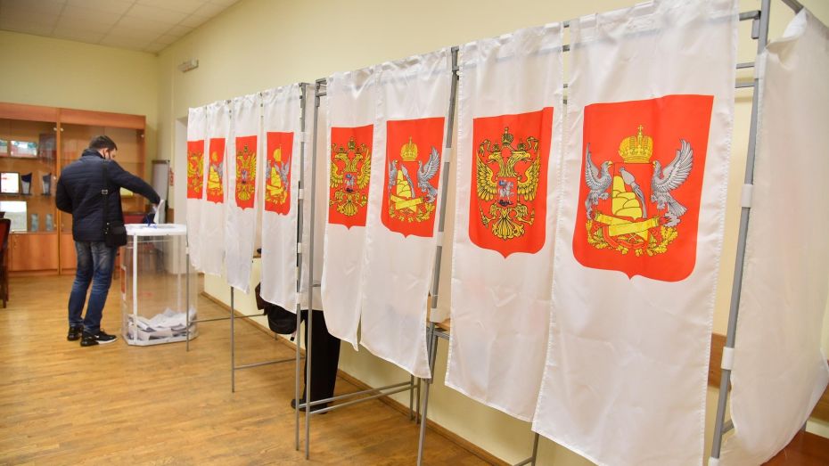 Избирком Воронежской области утвердил применение электронного голосования на предстоящих выборах губернатора