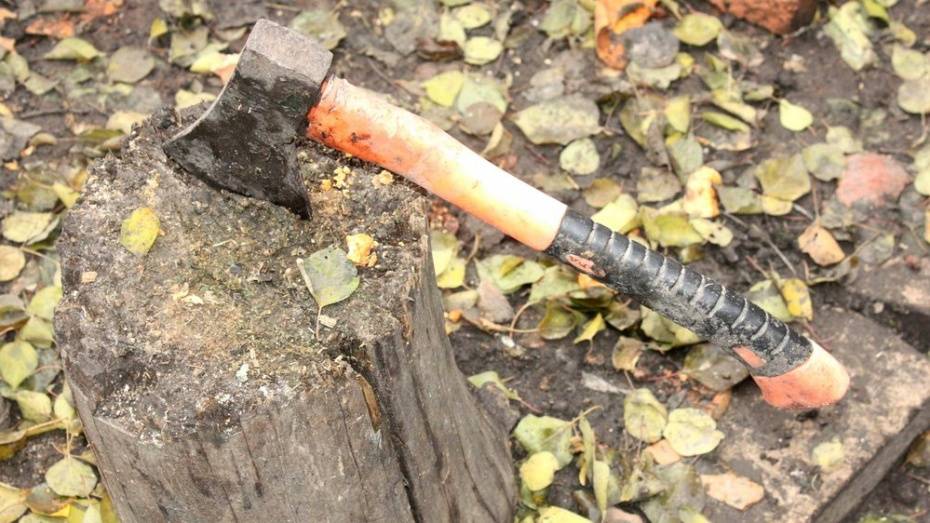 В Богучарском районе сельчанин незаконно вырубил 7 дубов