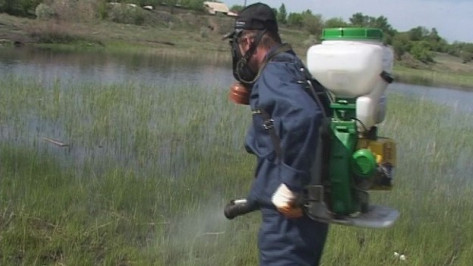 В Кантемировском районе обрабатывают химикатами пруды и парки