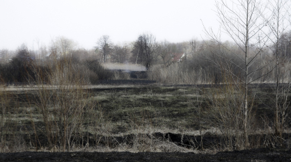 В поселке под Воронежем загорелось поле на площади 500 «квадратов» вечером 10 мая