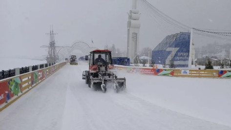В Воронеже из-за снегопада закрыли зону детского катка на Адмиралтейской площади