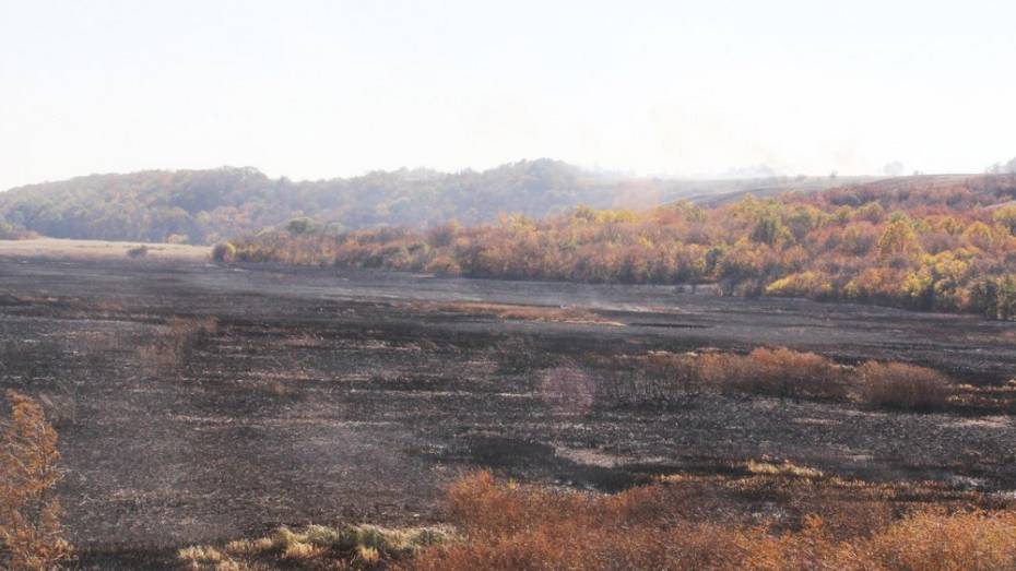 Под Рамонью в выходные потушили 2 крупных ландшафтных пожара
