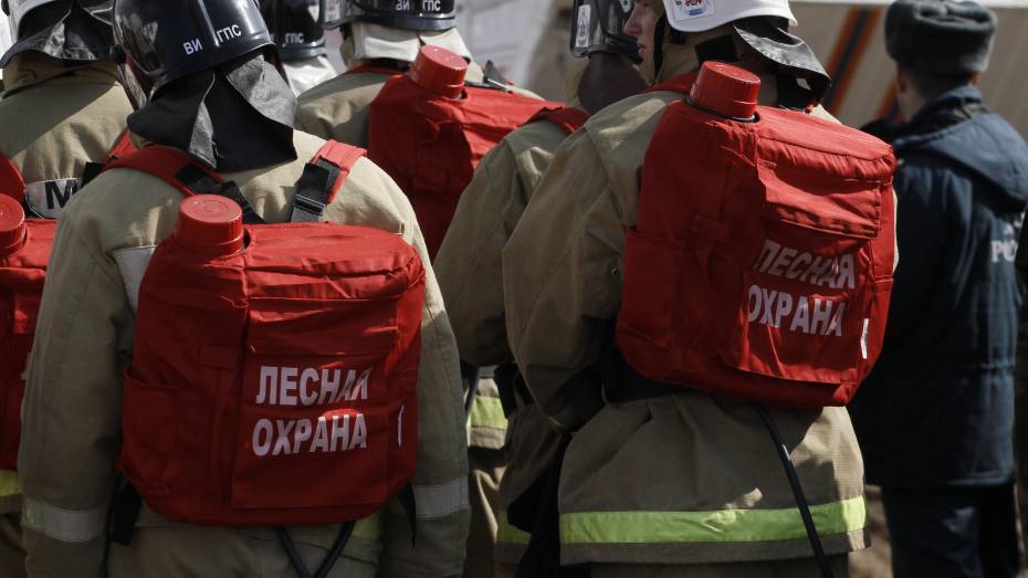 Воронежские лесопожарные станции полностью укомплектуют постоянными работниками