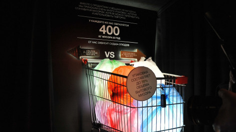 В Воронеже учтут немецкий опыт сбора и переработки отходов