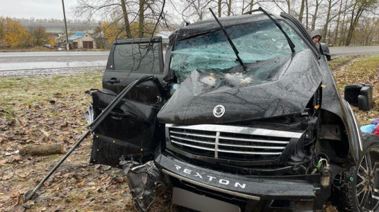 Внедорожник врезался в дерево в Воронежской области: погибла 62-летняя пассажирка