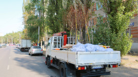 Более 2 тыс деревьев высадят при строительстве дороги Шишкова – Тимирязева в Воронеже