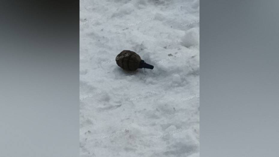 Воронежцы сообщили о похожем на гранату предмете возле многоэтажки в Центральном районе