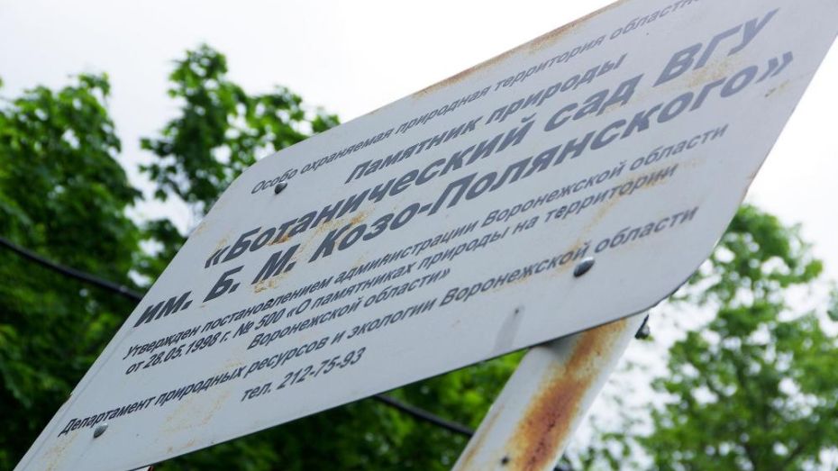 Закрыли доступ в лесную часть Ботсада Воронежского госуниверситета