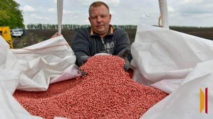 Главное – за кадром: где найти работников для воронежского сельского хозяйства