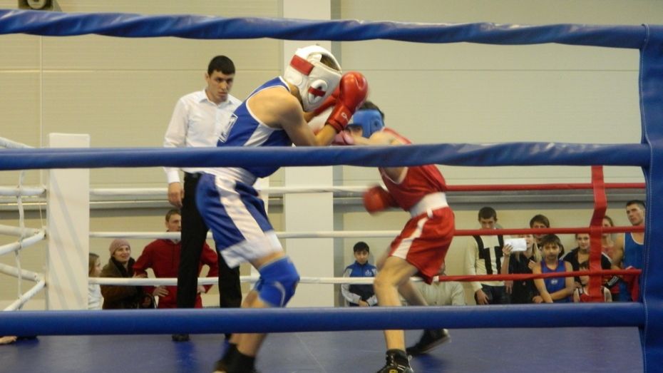В Богучаре впервые прошло открытое первенство местной ДЮСШ по боксу