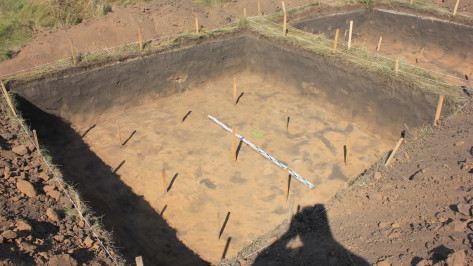 Череп ребенка обнаружили археологи в ходе раскопок в Воронежской области