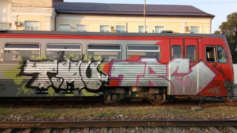 Воронежского граффитиста задержали в Ставропольском крае за надписи на поездах